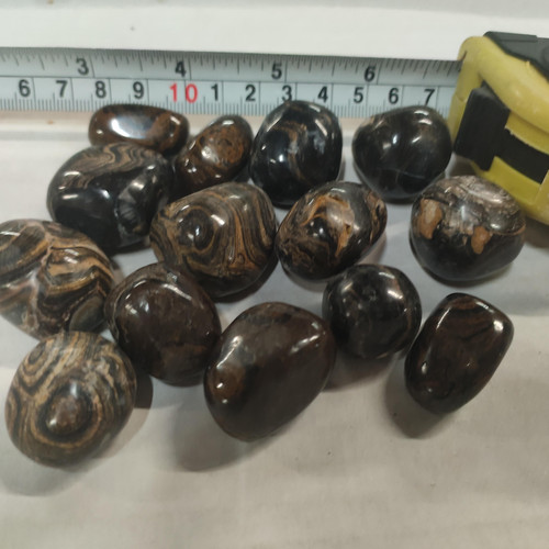 cropped 16994061729822592584875086094569.jpg