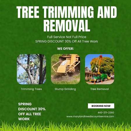 Tree Service Milford Mill | Marylandtreediscountservice.com.jpg