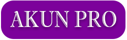logoakunpro.png