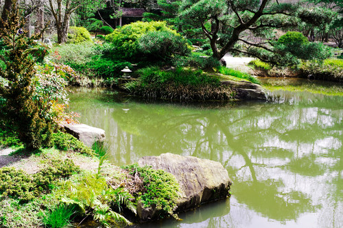 Japanese Gardens at Gibbs 2