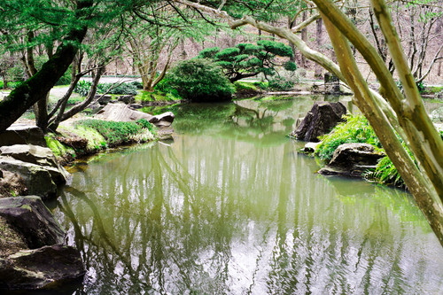 Japanese Gardens at Gibbs