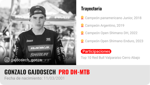 Ficha piloto 11 Gonzalo Gajdosech.png