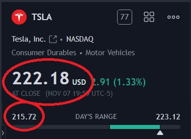 tsla 8223.jpg
