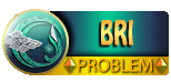 bri problem.gif