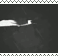 ezgif.com gif maker(14)