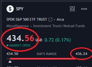 tsla 8223.jpg