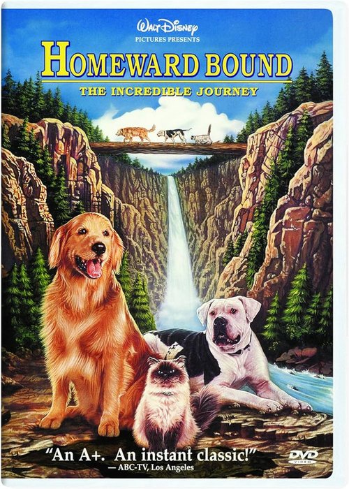 Niezwykła podróż / Homeward Bound: The Incredible Journey (1993) PL.1080p.BRRip.H264-wasik / Lektor PL