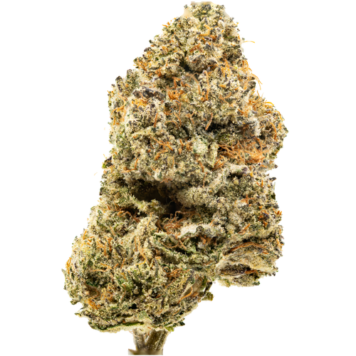 Ice Cream Mintz Inspiration.png