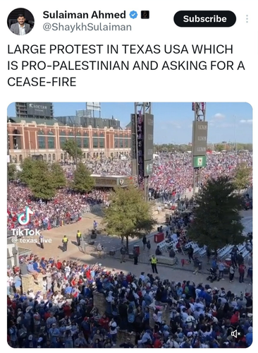 Texas pro palestine[1].png