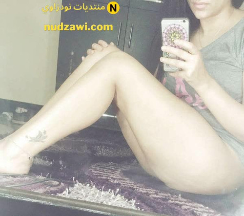 minilien 4152020 11 11 at 12.31.24 am2023 11 08 07 51 33