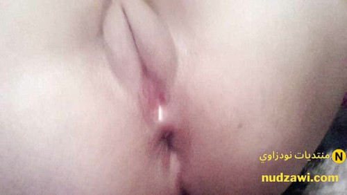 minilien 311 11 11 at 12.31.24 am 282 292023 11 08 07 51 35