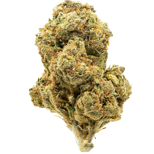 Horchata Inspiration (11 3).png