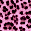 ezgif.com gif maker(4).gif