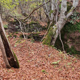 IMG 20231110 150922 832.jpg