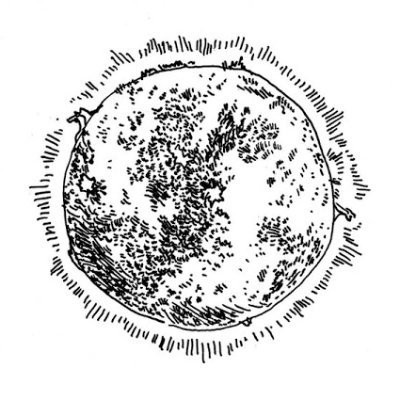 bYAO9V9q 400x400.jpg