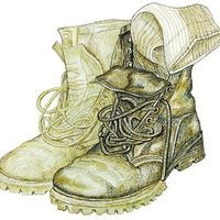 305278003 509025014557602 5506402795826612050 n.jpg