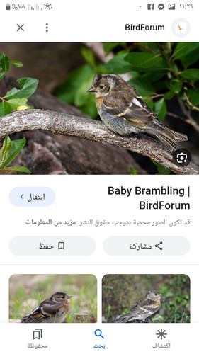 images%2Fimage 1699563439490.jpg