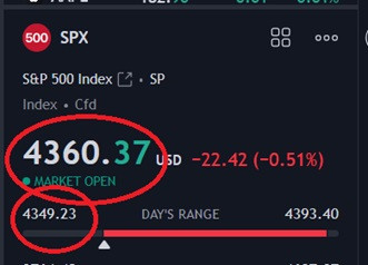 tsla 8223.jpg