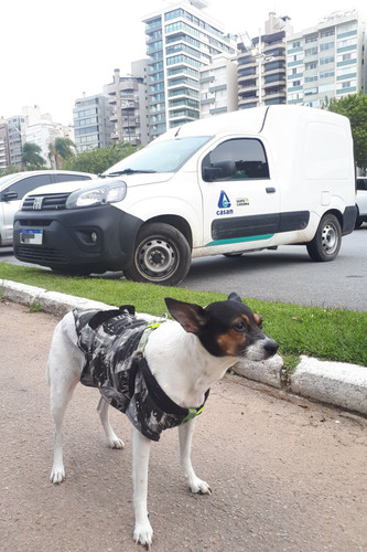 Fiat Fiorino 2022 da Casan e Vanessa.jpg