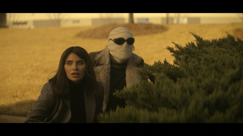 Doom.Patrol.S04E01.Doom.Patrol.1080p.HMAX.WEB DL.DDP5.1.Atmos.H.264 FLUX.mkv 20231111 190643.673.png