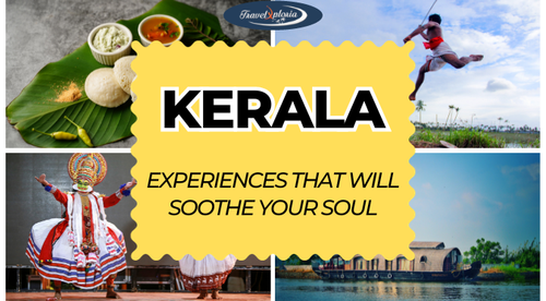 Kerala Experiences That Will Soothe Your Soul.png