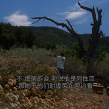 Donnie.Darko.2001.Director's.Cut.GBR.UHD.Blu ray.2160p.10bit.HDR.2Audio.DTS HD.MA.5.1.x265 beAst.mkv