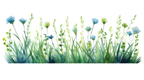 Fresh green grassWatercolor hand drawn painting illustration isolated on a white background Element .jpg