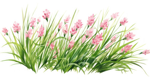 Fresh green grassWatercolor hand drawn painting illustration isolated on a white background Element .jpg