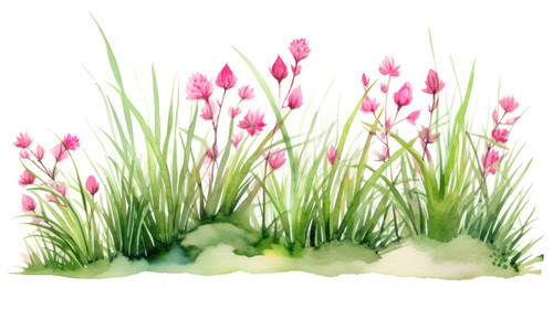 Fresh green grassWatercolor hand drawn painting illustration isolated on a white background Element .jpg