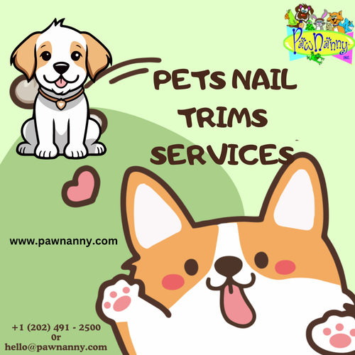 Pawnanny Pet Express Anal Glands.png