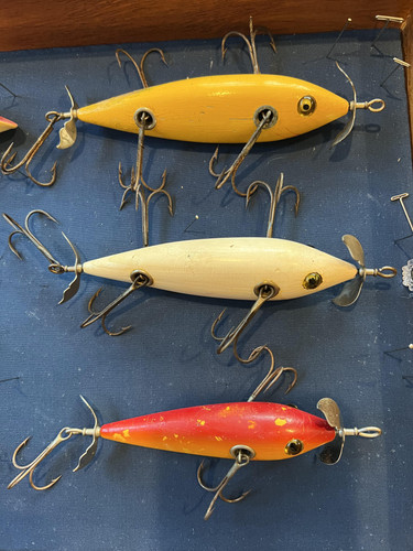 363301894 304730311992512 4987968267285305571 n.jpg