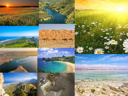 '  Glorified is The Mighty Creator   '.jpg