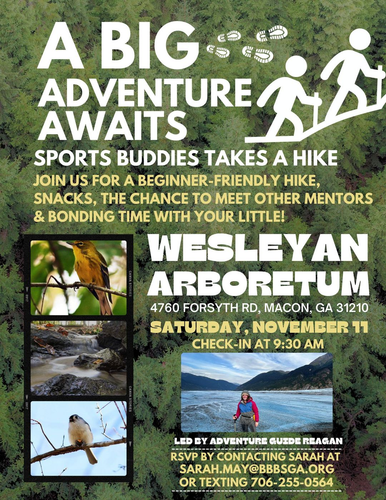 extracted image 3.png