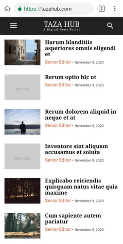 Screenshot 20231110 232125 Kiwi Browser