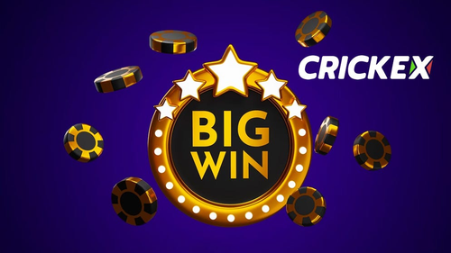 image 2023 11 10 203221942.png