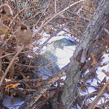  mycavet made from layers of cheap blankets and plastic. snow on top didnt melt in winter