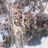  mycavet rear AC vent and emergency exit push AC out if attacked from airlock