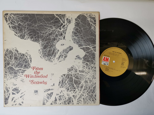 IMG 20231108 114951.jpg