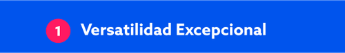 versatilidad.png