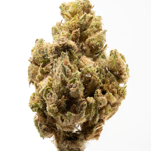 Lemon haze (11 12).png