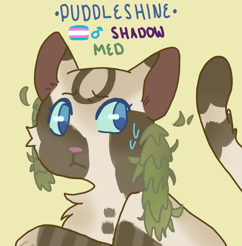 puddleshine.png