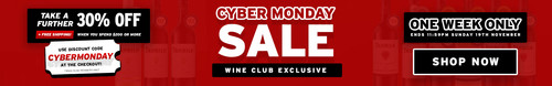 Cyber Monday Website Banner3.jpg