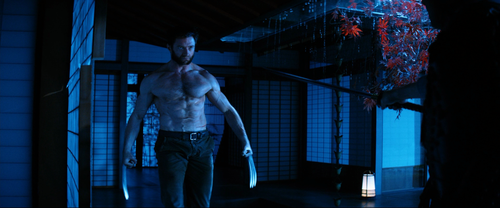 The Wolverine 2013 Extended BluRay 1080p DTS HD MA7.1 DualAudio x264 beAst.mkv 20231113 085405.248.png