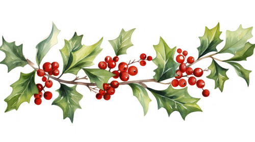 Mistletoe with red ribbon holly branches with red berries Christmas ornaments from the branches pain