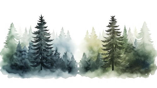 Templates with Forest Background Spruce and Pine Trees in Watercolour Style Vector 00359 02