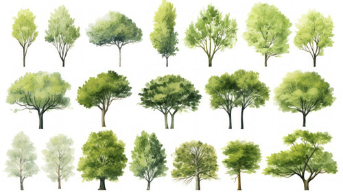 Tree watercolor style vector illustration set of graphics trees elements drawing for architecture an.jpg