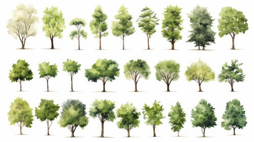 Tree watercolor style vector illustration set of graphics trees elements drawing for architecture an.jpg