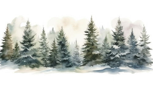 Hand drawn watercolor coniferous forest illustration spruce Winter nature holiday background conifer