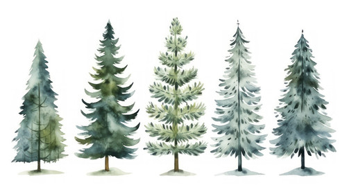 Set of watercolor christmas trees hand drawn on a white background Christmas card 00335 03.jpg