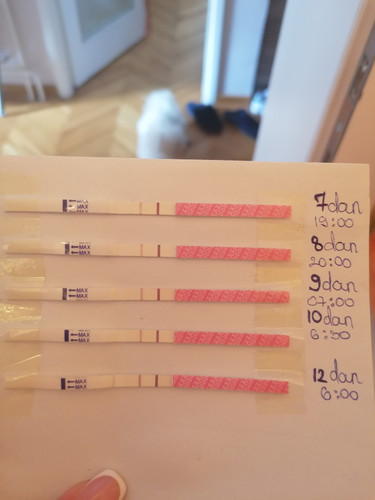 IMG 20231112 105344.jpg